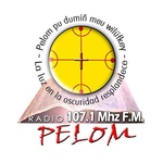 Radio Pelom FM